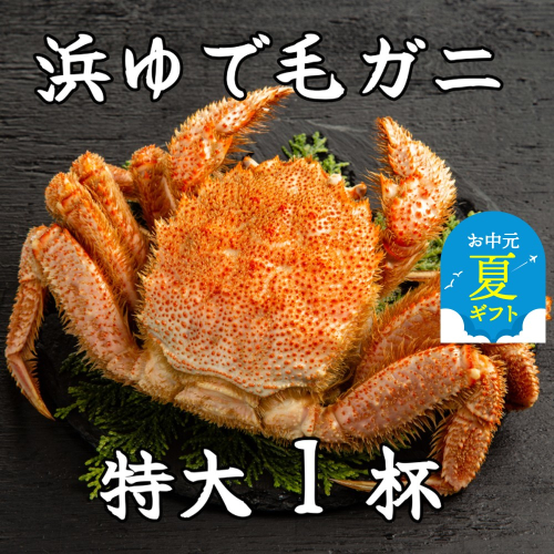 26-38 【お中元】流氷明け浜ゆで毛ガニ　特大1杯 2144249 - 北海道紋別市
