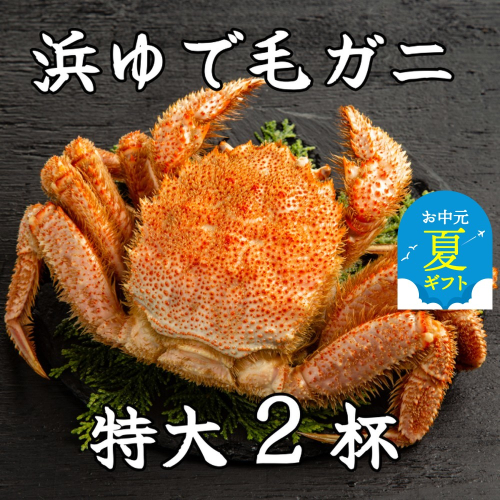 52-12 【お中元】流氷明け浜ゆで毛ガニ　特大2杯 2144314 - 北海道紋別市