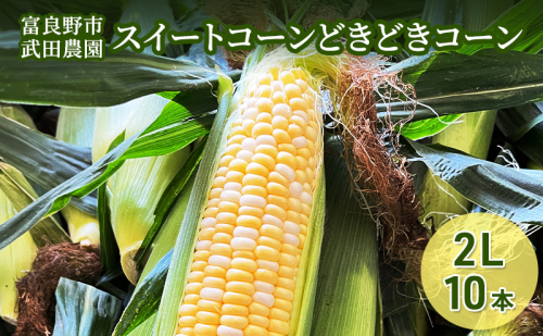 ［武田農園とれたて直送］スイートコーン どきどきコーン 2L 10本 北海道 富良野産 とうもろこし 野菜 新鮮 とうきび 甘い 産地直送 先行予約 限定 2144335 - 北海道富良野市