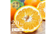 ＜爽やか香りと柔らかジューシーな果肉＞愛媛八幡浜産 宮内伊予柑 20kg＜H20-95＞【1625452】