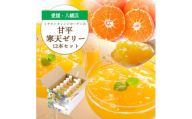 ゲル化剤・pH調整剤不使用!愛媛限定栽培品種 甘平(かんぺい)寒天ゼリー 12本＜D25-226＞【1629412】
