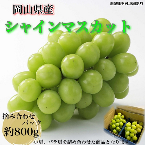 ぶどう 2025年 先行予約 【平均糖度20度】農家こだわりの シャインマスカット ご家庭用パック 合計約800g ブドウ 葡萄 岡山県産 国産 フルーツ 果物 ギフト 【 Nini farm 農家 直送 】 2144558 - 岡山県里庄町