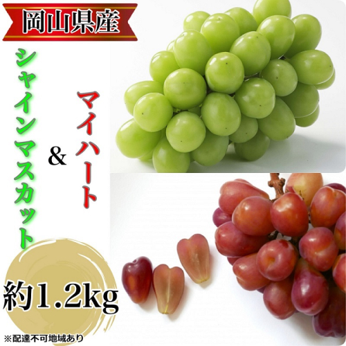 ぶどう 農家こだわりのシャインマスカット＆ハート型のマイハート  合計約1.2kg ブドウ 葡萄 岡山県産 国産 フルーツ 果物 ギフト 【 Nini farm 農家 直送 】 2144562 - 岡山県里庄町