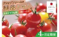 【4ヶ月定期便】【11月より順次発送】ドロップファームの美容トマトおまかせ3kg箱(４種ミックス)【とまと フルーツトマト 野菜ソムリエ 栄養士 アイコ イエローアイコ 小鈴 フルティカ 野菜 フレッシュ 水戸市 茨城県】（CK-23）