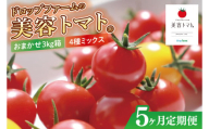 【5ヶ月定期便】【11月より順次発送】ドロップファームの美容トマトおまかせ3kg箱(４種ミックス)【とまと フルーツトマト 野菜ソムリエ 栄養士 アイコ イエローアイコ 小鈴 フルティカ 野菜 フレッシュ 水戸市 茨城県】（CK-24）