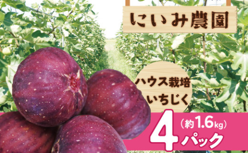 【ハウス栽培】朝もぎ フレッシュな完熟いちじく 碧南市 にいみ農園 フルーツ いちじく トマト農家 H031-006 2144824 - 愛知県碧南市