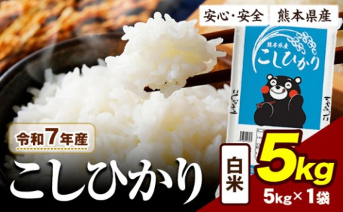 令和7年産 白米 こしひかり 5kg 《7-14日以内に出荷予定(土日祝除く)》令和7年産 熊本県産 ふるさと納税 白米 精米 ひの 米 こめ ふるさとのうぜい コシヒカリ コメ お米 おこめ 2144842 - 熊本県産山村