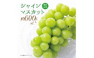 [岡山県産]シャインマスカット 約600g 1房 [2025年9月上旬〜11月下旬発送予定] マスカット ぶどう ブドウ 葡萄