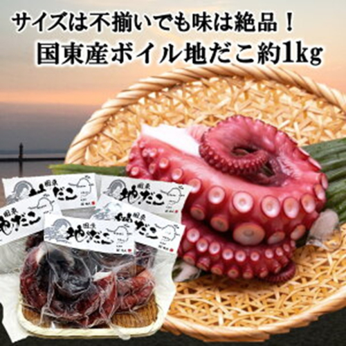 サイズは不揃いでも味は絶品！国東産ボイルたこ足約1kg_2561R 2144977 - 大分県国東市