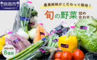 農業姉妹がこだわって栽培！西洋野菜が入った旬の野菜詰め合わせ8種類【024D-004】