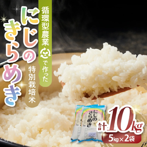【９月中旬頃発送予定】令和７年産新米 特別栽培米 循環型農業で作った「にじのきらめき」10kg (5kg×2) 米 コメ こめ 特別栽培 先行 先行予約 精米 白米 人気 おすすめ 5kg 三重県 多気町 TC‐0609 2145032 - 三重県多気町