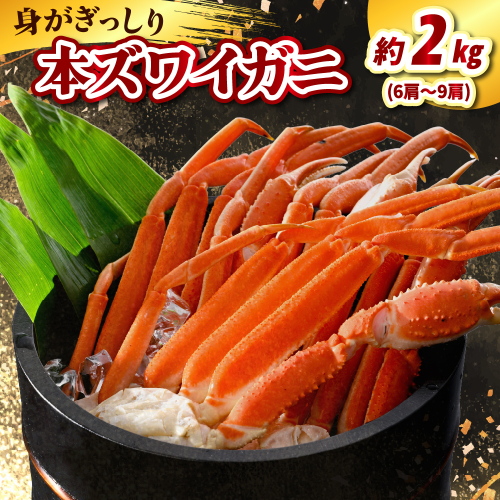 本ズワイガニ6肩～9肩（約2kg）【er021-006】かに 蟹 ズワイガニ ずわい蟹 ズワイ ボイル 茹で カニ足 脚 足 蟹脚 蟹足 魚介 魚介類 海鮮 海の幸 海産物 水産加工品 加工品 加工食品 冷凍 北海道 えりも町 2145078 - 北海道えりも町