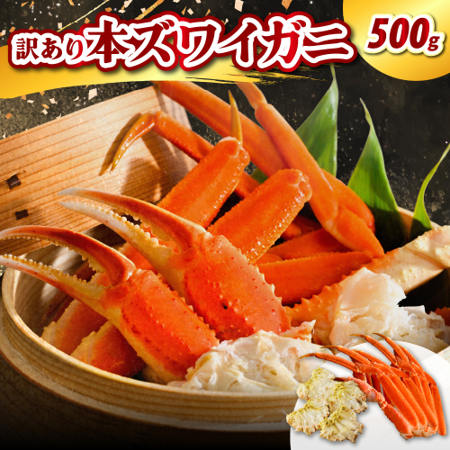 訳アリ本ズワイガニ（500g）【er021-007】蟹 かに カニ脚 足 ボイル 茹で わけあり 規格外 不揃い 魚介 魚介類 海鮮 海の幸 海産物 冷凍 お取り寄せ 送料無料 北海道 えりも町 2145079 - 北海道えりも町