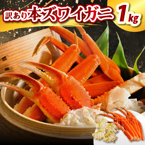 訳アリ本ズワイガニ（1kg）【er021-008】蟹 かに カニ脚 足 ボイル 茹で わけあり 規格外 不揃い 魚介 魚介類 海鮮 海の幸 海産物 冷凍 お取り寄せ 送料無料 北海道 えりも町 2145080 - 北海道えりも町