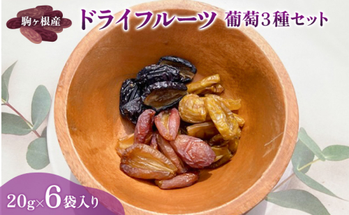 駒ヶ根産 ドライフルーツ 葡萄3種セット ブドウ ぶどう 葡萄 果物 ドライフルーツ 駒ヶ根市 2145092 - 長野県駒ヶ根市