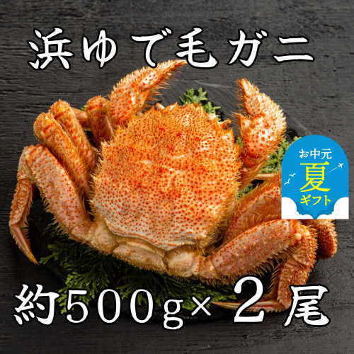 44-42 【お中元】流氷明け浜ゆで毛ガニ約500g×2尾 2145095 - 北海道紋別市