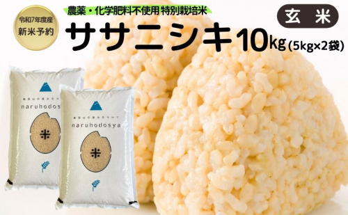 新米予約 栽培期間中 農薬・化学肥料不使用【玄米】特別栽培米ササニシキ10kg （5kg×2） 令和7年産 秋田県 にかほ市 お米 米 こめ 2145135 - 秋田県にかほ市