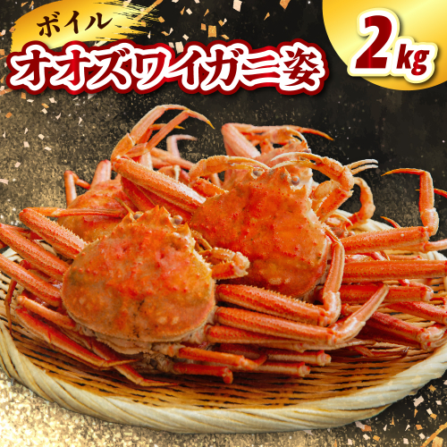 ボイルオオズワイガニ姿2kg（3～4杯）【er021-017】かに おおずわい 蟹 大ズワイ 大ズワイガニ ズワイガニ ズワイ ボイル かにみそ 蟹みそ 一杯 冷凍 魚介 魚介類 海鮮 国産 北海道 えりも町 2145188 - 北海道えりも町