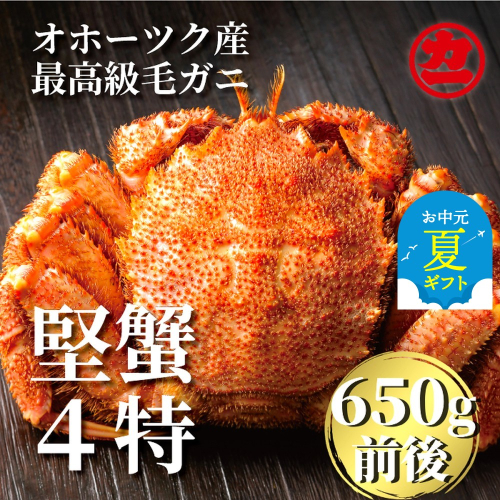 24-94 【お中元】北海道産ボイル毛がに【四特】 大サイズ1尾入り（1尾約650ｇ前後） 2145329 - 北海道紋別市