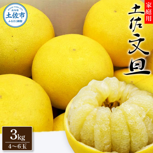 生産者直送　土佐文旦3.0kg[2L～4L]家庭用 【2026年1月下旬より発送】 家庭用 文旦 柑橘 みかん フルーツ  果物  産地直送 お取り寄せ 人気  美味しい 名産 ふるさと納税 送料無料 返礼品 高知県 高知 2145340 - 高知県土佐市
