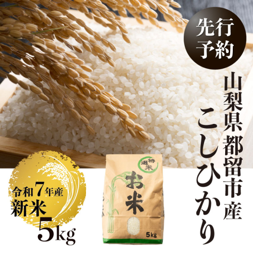 【令和７年産新米・予約】山梨県都留市産こしひかり[5kg]  コメ 米 お米 おこめ　新米　先行予約　こしひかり 2145341 - 山梨県都留市
