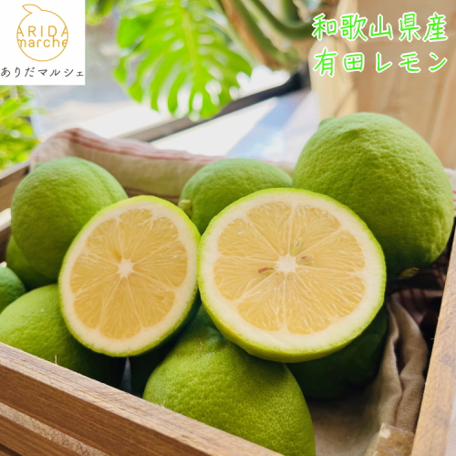 【先行予約】【国産】農家直送！ 有田レモン 3kg ※北海道・沖縄・離島への配送不可 ※2025年9月下旬～2026年3月下旬に順次発送予定 2145342 - 和歌山県美浜町
