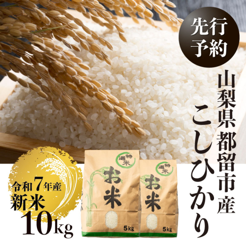 【令和７年産新米・予約】山梨県都留市産こしひかり[10kg]  こめ　米　コメ　こしひかり　新米　 2145343 - 山梨県都留市