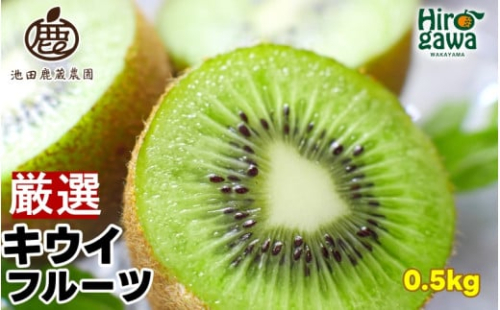 キウイ 厳選 0.5kg+250g（痛み補償分） / キウイフルーツ 高級 和歌山 ※2025年11月中旬～2026年6月中旬に順次発送 ※北海道・沖縄・離島への配送不可【ikd505-p-0d5】