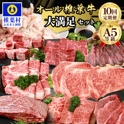【 定期便 全10回 】 10ヶ月連続でお届け！ 牛肉 オール椎葉牛大満足セット 総重量 5,180g 【 日本三大秘境 椎葉村 育ちの黒毛和牛 】TK-105 2145572 - 宮崎県椎葉村