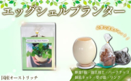 国産オーストリッチエッグシェルプランター / ダチョウ だちょう 卵 殻 貴重 園芸 植物 ガーデン 植栽 花 用土 バークチップ 鉢底ネット 受け皿 リング 趣味 可愛い おしゃれ 埼玉県 [No.231]