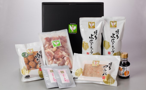 はかた地どり 美人鍋セット 水炊き 鍋 セット 鶏肉 ※配送不可:離島 2145982 - 福岡県大刀洗町