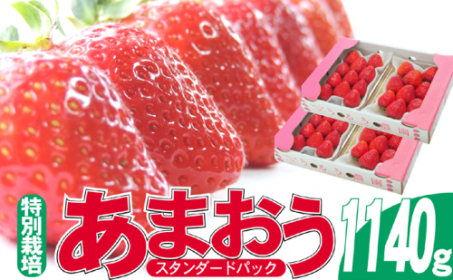 いちご 2025年12月より発送 うるう農園のあまおう スタンダード4パック 約1.14kg 果物 フルーツ デザート 食後 特別栽培 福岡県産 国産 日本産 ※配送不可：離島 2145986 - 福岡県大刀洗町