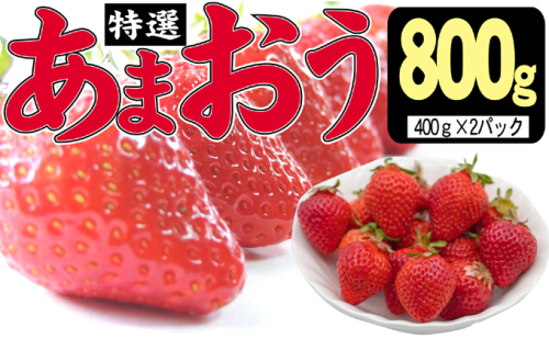 いちご 2025年12月より発送 特選あまおう 800g 果物 フルーツ デザート 食後 特別栽培 最高等級 大玉 贈答用 贈り物 福岡県産 国産 日本産 ※配送不可：離島 2145989 - 福岡県大刀洗町