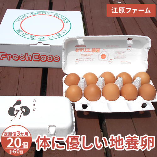 【定期便3か月】 江原ファーム　体に優しい地養卵（20個）｜卵 たまご タマゴ 生みたて 産みたて 新鮮 濃厚 健康 赤玉 産地直送_AG22 2146464 - 茨城県古河市
