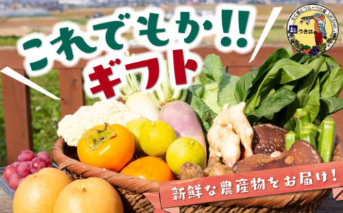 道の駅 うきは これでもか！！ ギフト （新鮮な農産物・特産品 約4.5kg） 野菜 ベジタブル 果物 くだもの フルーツ 農産物 特産品 特産 新鮮 フレッシュ 朝採れ 詰め合わせ 詰合せ セット ミックス お取り寄せ 福岡県 うきは市 214650 - 福岡県うきは市
