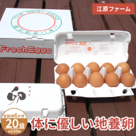 【定期便6か月】 江原ファーム　体に優しい地養卵（20個）｜卵 たまご タマゴ 生みたて 産みたて 新鮮 濃厚 健康 赤玉 産地直送_AG23