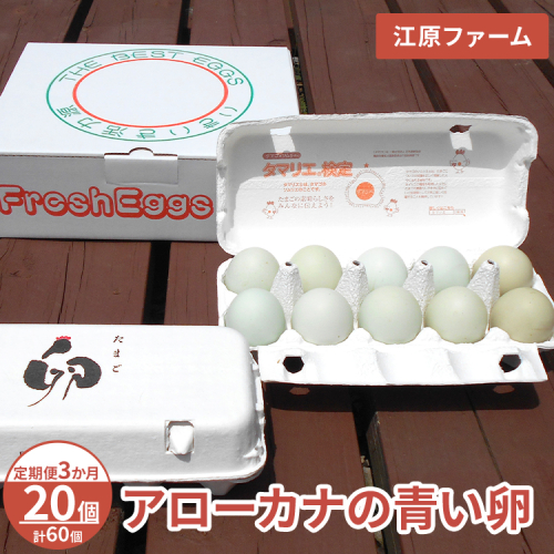 【定期便3か月】 江原ファーム　アローカナの青い卵（20個）｜卵 たまご タマゴ 生みたて 産みたて 新鮮 濃厚 健康 青い卵 産地直送_AG28 2146579 - 茨城県古河市