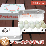 【定期便6か月】 江原ファーム　アローカナの青い卵（20個）｜卵 たまご タマゴ 生みたて 産みたて 新鮮 濃厚 健康 青い卵 産地直送_AG29