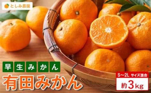 有田みかん 早生みかん 秀品または優品 約3kg S～2Lサイズ混合 としみ農園 2146649 - 和歌山県有田川町