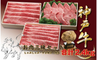 神戸牛(神戸ビーフ) お肉三昧セット　2400ｇ