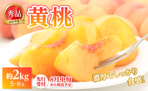 《先行受付》★黄桃（品種おまかせ）★ 約2kg(5～8玉) 秀品 【2025年8月中旬頃～発送予定】 063-003 2146806 - 山形県大江町