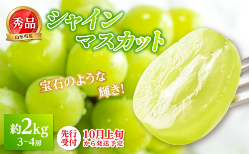★シャインマスカット★約2kg（3～4房）秀品 【2025年10月上旬頃～発送予定】 063-005 2146887 - 山形県大江町