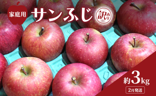 2月発送 家庭用 訳あり サンふじ 約 3kg りんご リンゴ 林檎 果物 フルーツ わけあり 青森 2147210 - 青森県鶴田町