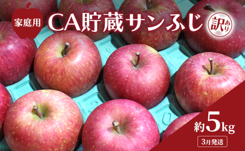3月発送 家庭用 訳あり CA貯蔵 サンふじ 約 5kg りんご リンゴ 林檎 果物 フルーツ わけあり 青森 2147211 - 青森県鶴田町