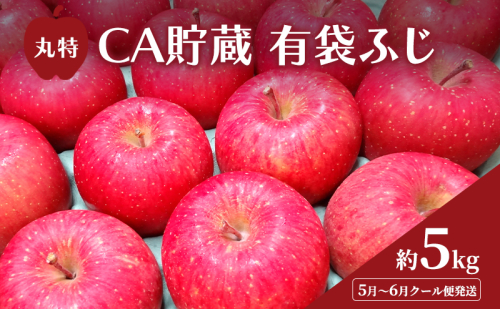 5月～6月 クール便発送 丸特 CA貯蔵 有袋ふじ 約 5kg アイスBOXクール便 りんご リンゴ 林檎 果物 フルーツ 青森 2147214 - 青森県鶴田町
