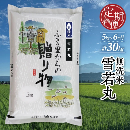 SJ0043　【6回定期便】令和7年産 無洗米 雪若丸　5kg×6回(計30kg) KN 2147250 - 山形県酒田市