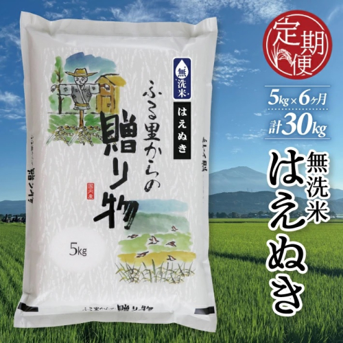 SJ0042　【6回定期便】令和7年産 無洗米 はえぬき　5kg×6回(計30kg) KN 2148020 - 山形県酒田市