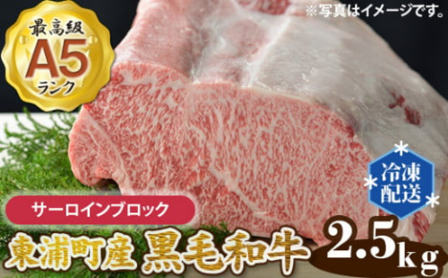 東浦町産最高級A5ランク黒毛和牛 サーロインブロック(約2.5kg)