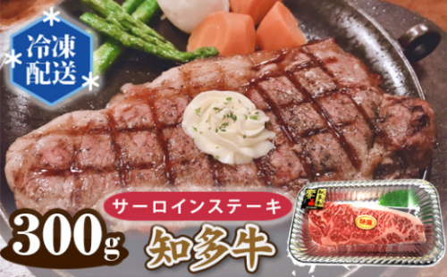 No.006 知多牛 サーロインステーキ 約300g / 牛肉 国産 霜降り ブランド牛 愛知県 214832 - 愛知県東浦町