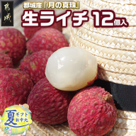 [お中元]都城産生ライチ『月の真珠』12個入_AC-F507-7-SG